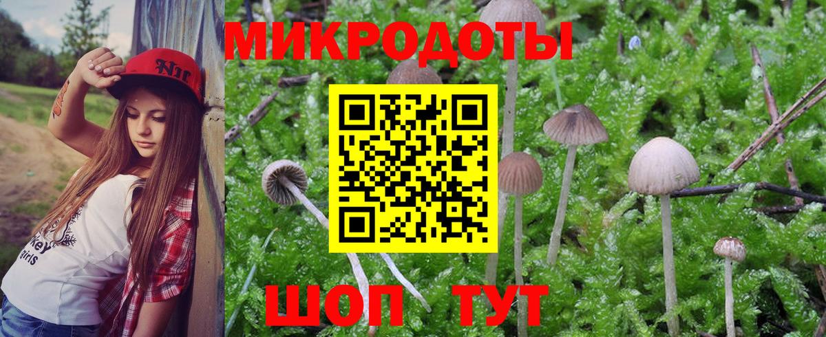 Алексин  Галлюциногенные грибы мухоморы  Вход с VPN 
